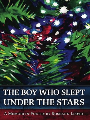 cover image of The Boy Who Slept Under the Stars